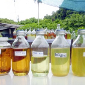 รับซื้อขายน้ำมันเก่าทุกชนิด น้ำมันไฮดรอลิคเก่า น้ำมันเครื่องเก่า