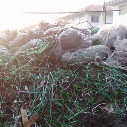 สายรัดรวมทั้ง pp pet