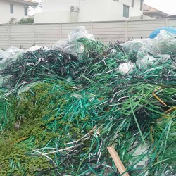 สายรัด Pet เขียว สายรัด pp