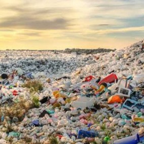 เศษพลาสติก ย่อยแล้ว