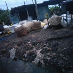 ถุงพลาสติก