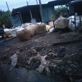 ถุงพลาสติก