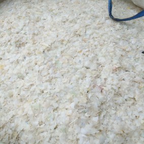 รับซื้อ ประมูลพลาสติกเก่า (Plastic recycle) รีไซเคิล PP HDPE