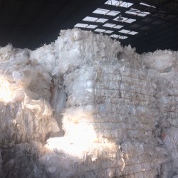 พลาสติกจำพวก HDPE LDPE PP LLDPE