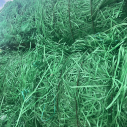 เศษสายรัด PET