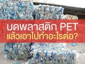เคยสงสัยไหม บดพลาสติก PET แล้วเอาไปทำอะไรต่อได้? มาดูกัน