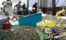 ครั้งสุดท้าย! ครม.ยืดเวลาตีตราทะเบียนแรงงานต่างด้าว “เขมร-ลาว-พม่า” สิ้นเดือน มิ.ย.นี้